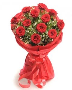 ELEGANT ROSES