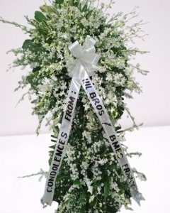 a Light Standing