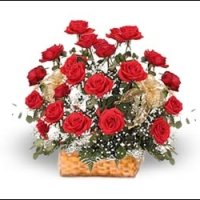 red in the basket